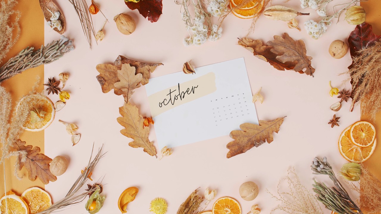 Video for Fall Autumn
